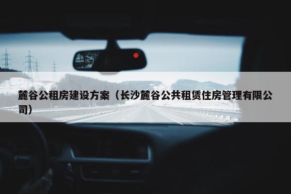 麓谷公租房建设方案（长沙麓谷公共租赁住房管理有限公司）