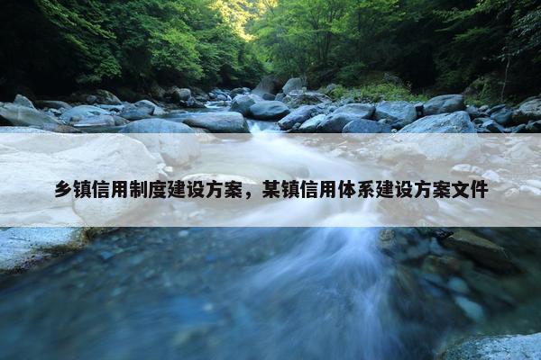 乡镇信用制度建设方案，某镇信用体系建设方案文件