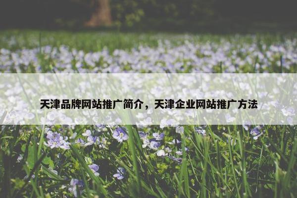 天津品牌网站推广简介，天津企业网站推广方法