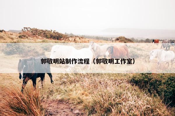 郭敬明站制作流程（郭敬明工作室）