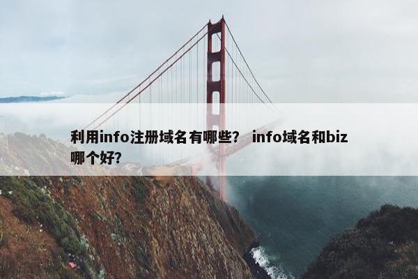 利用info注册域名有哪些？ info域名和biz哪个好？