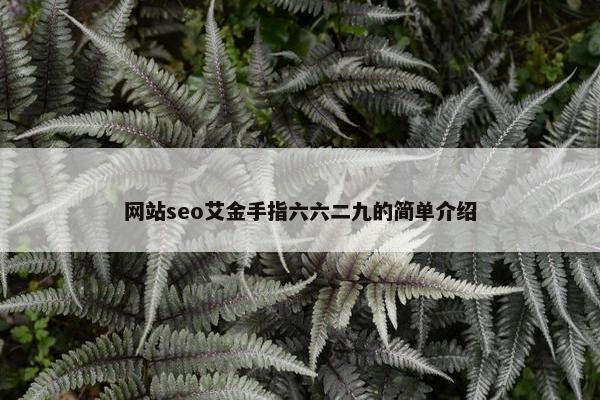 网站seo艾金手指六六二九的简单介绍
