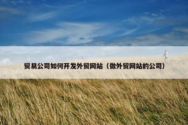 贸易公司如何开发外贸网站（做外贸网站的公司）