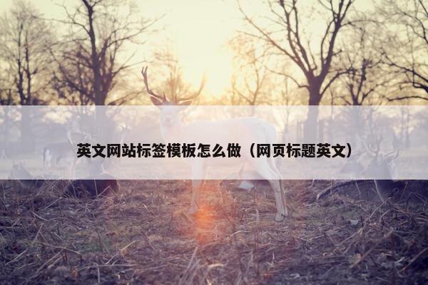 英文网站标签模板怎么做（网页标题英文）