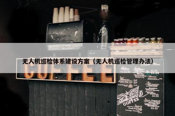 无人机巡检体系建设方案（无人机巡检管理办法）