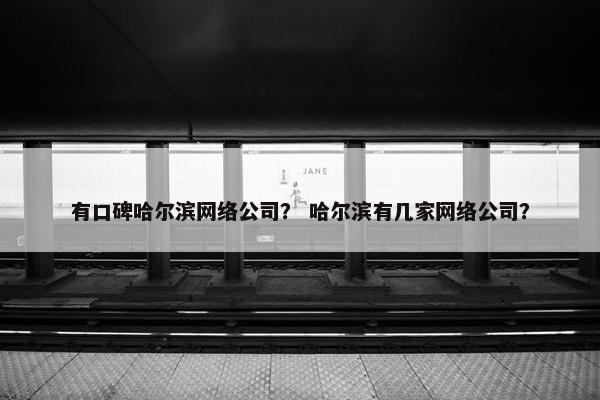 有口碑哈尔滨网络公司？ 哈尔滨有几家网络公司？