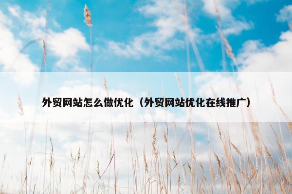 外贸网站怎么做优化（外贸网站优化在线推广）