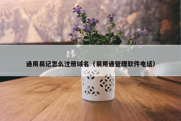 通用易记怎么注册域名（易用通管理软件电话）
