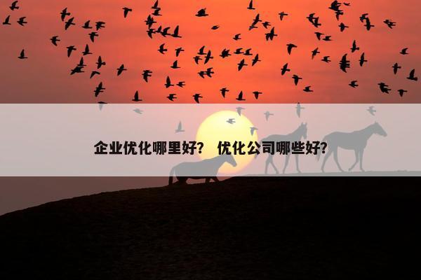 企业优化哪里好？ 优化公司哪些好？