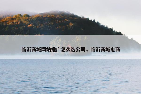 临沂商城网站推广怎么选公司，临沂商城电商