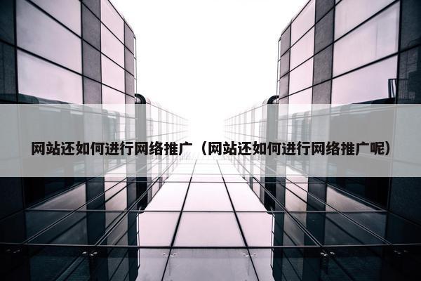 网站还如何进行网络推广（网站还如何进行网络推广呢）
