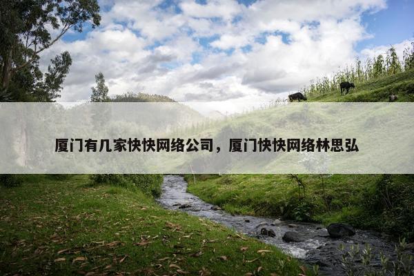 厦门有几家快快网络公司，厦门快快网络林思弘