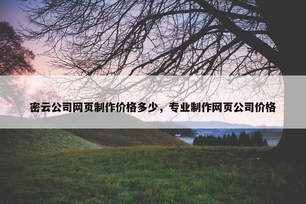 密云公司网页制作价格多少，专业制作网页公司价格