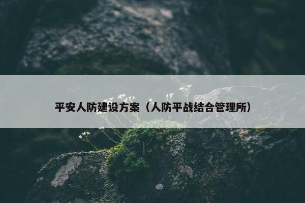 平安人防建设方案（人防平战结合管理所）