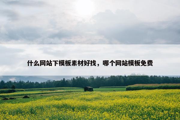 什么网站下模板素材好找，哪个网站模板免费