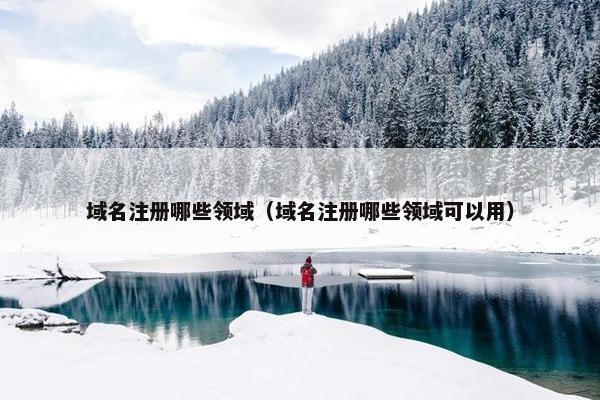 域名注册哪些领域（域名注册哪些领域可以用）