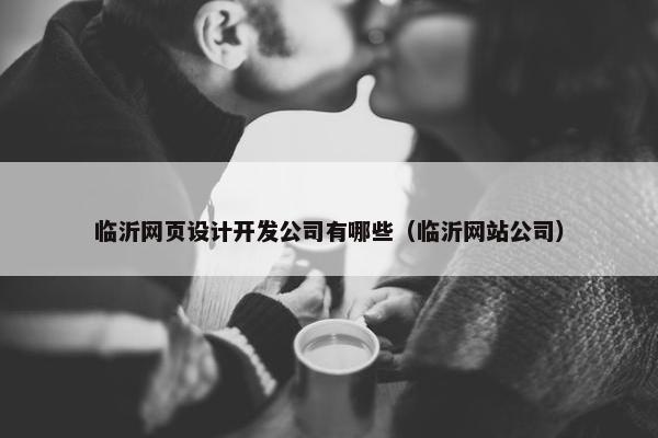 临沂网页设计开发公司有哪些（临沂网站公司）