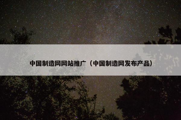 中国制造网网站推广（中国制造网发布产品）