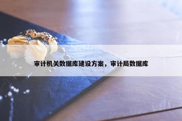 审计机关数据库建设方案，审计局数据库
