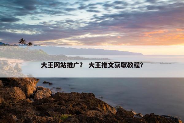 大王网站推广？ 大王推文获取教程？