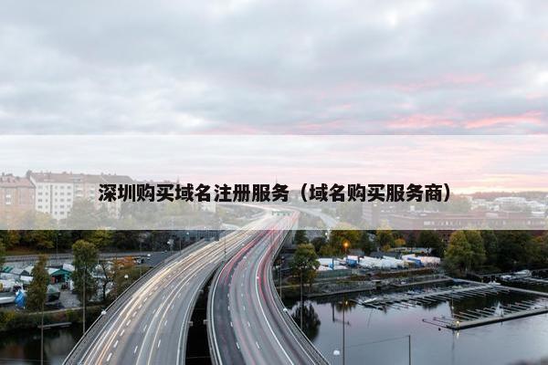 深圳购买域名注册服务（域名购买服务商）