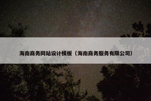 海南商务网站设计模板（海南商务服务有限公司）