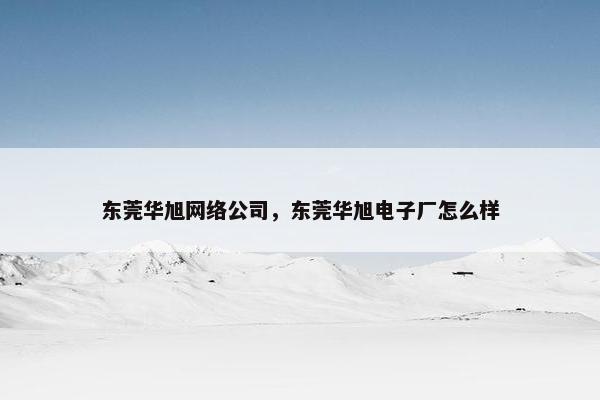东莞华旭网络公司，东莞华旭电子厂怎么样
