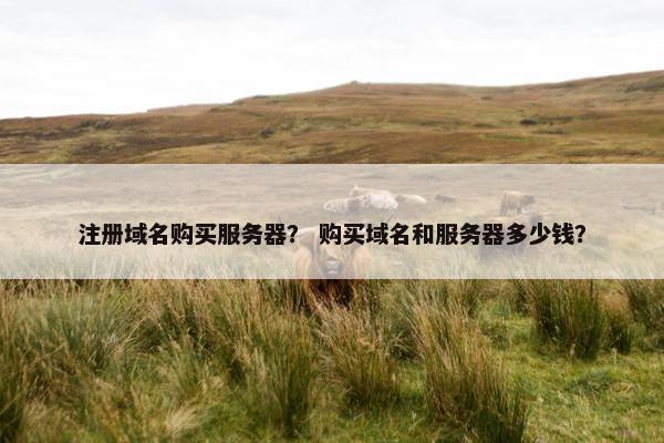 注册域名购买服务器？ 购买域名和服务器多少钱？