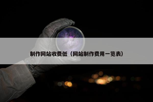 制作网站收费低（网站制作费用一览表）
