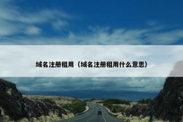 域名注册租用（域名注册租用什么意思）