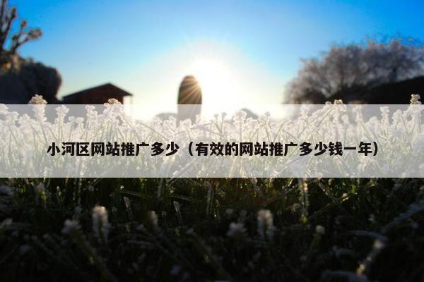小河区网站推广多少（有效的网站推广多少钱一年）