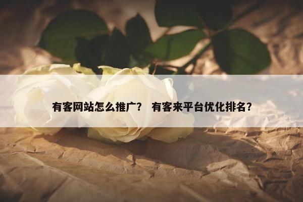 有客网站怎么推广？ 有客来平台优化排名？
