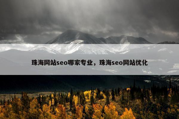 珠海网站seo哪家专业，珠海seo网站优化