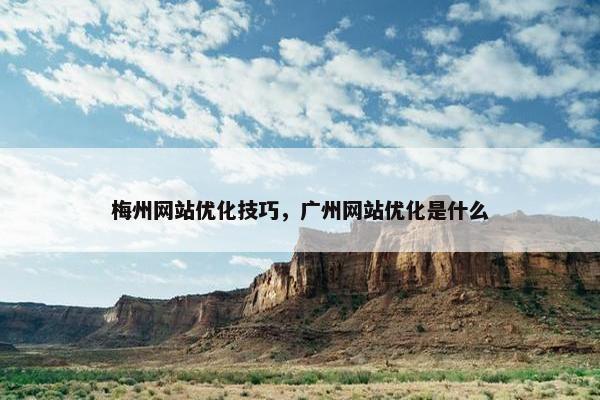 梅州网站优化技巧，广州网站优化是什么