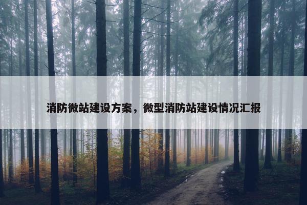 消防微站建设方案，微型消防站建设情况汇报