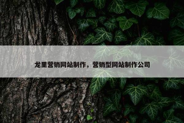 龙里营销网站制作，营销型网站制作公司