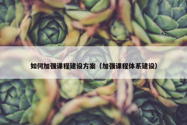 如何加强课程建设方案（加强课程体系建设）
