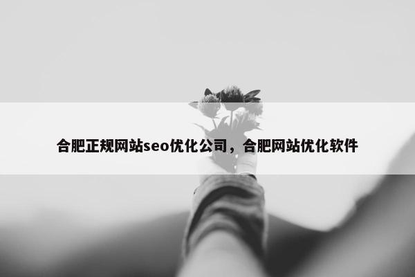 合肥正规网站seo优化公司，合肥网站优化软件