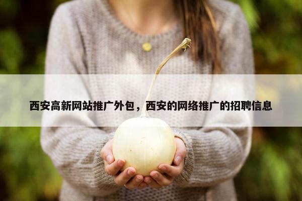 西安高新网站推广外包，西安的网络推广的招聘信息