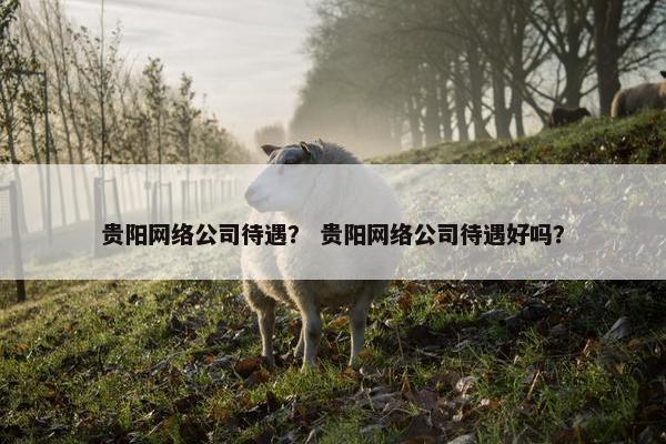 贵阳网络公司待遇？ 贵阳网络公司待遇好吗？