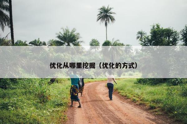 优化从哪里挖掘（优化的方式）