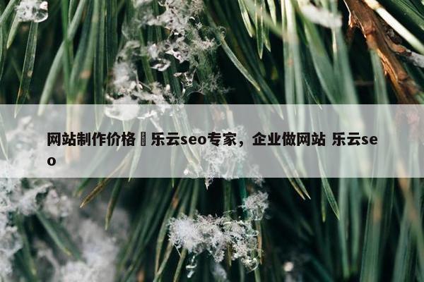 网站制作价格亅乐云seo专家，企业做网站 乐云seo