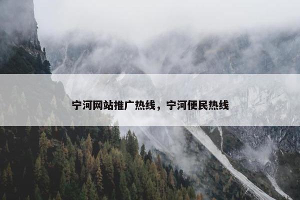 宁河网站推广热线，宁河便民热线