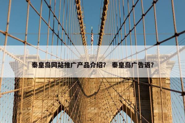 秦皇岛网站推广产品介绍？ 秦皇岛广告语？