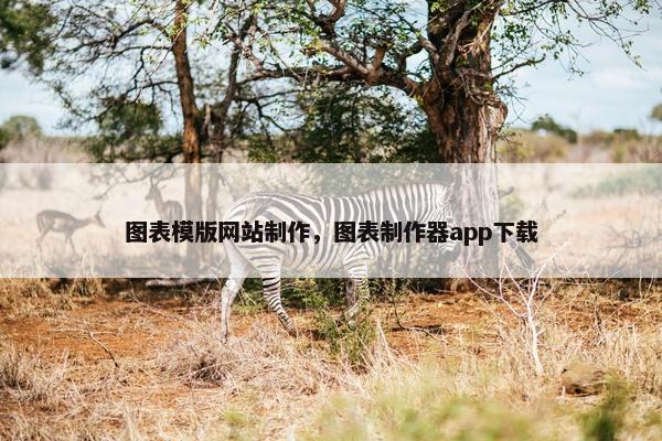 图表模版网站制作，图表制作器app下载