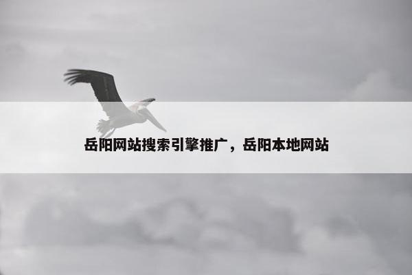 岳阳网站搜索引擎推广，岳阳本地网站