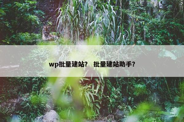 wp批量建站？ 批量建站助手？