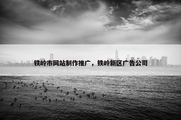 铁岭市网站制作推广，铁岭新区广告公司