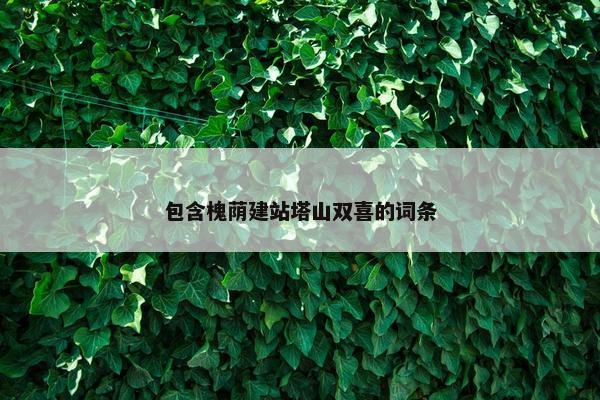 包含槐荫建站塔山双喜的词条