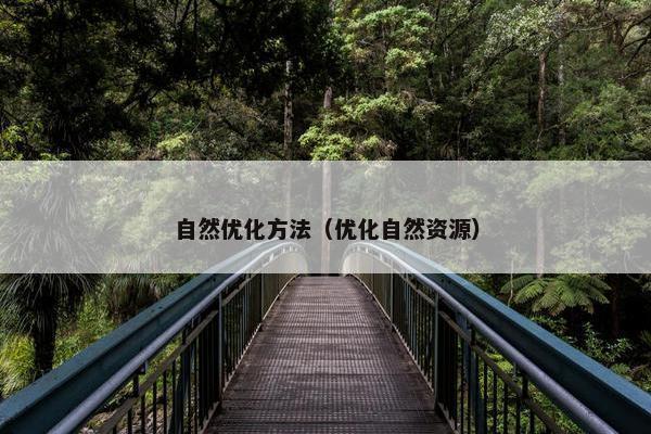自然优化方法（优化自然资源）